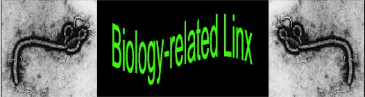 biology_banner.jpg (29381 bytes)