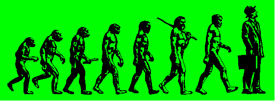 devo.gif (6269 bytes)